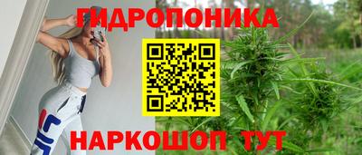 сатива Нягань