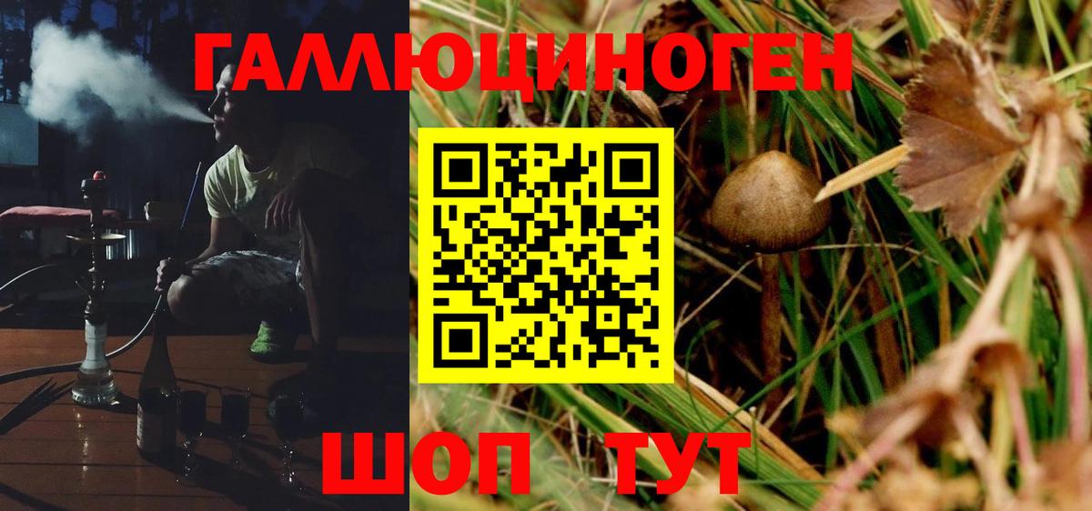 Псилоцибиновые грибы MAGIC MUSHROOMS Фурманов